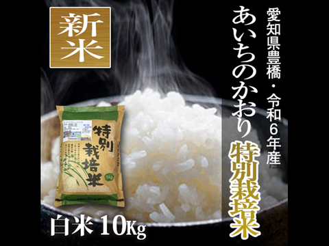 ★新米★【栽培期間中農薬不使用】あいちのかおり 白米10kg（5kg×2袋）【令和6年・愛知県産】