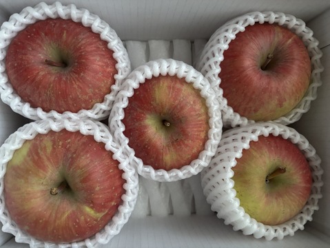 🍎陽だまりりんご🍎『完熟サンふじ』【ご家庭用】お試しサイズ　３個から６個入り