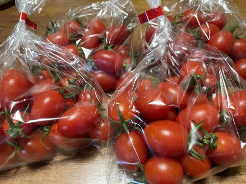 あま～いプチトマト（アイコ）がたっぷり1㎏入ります