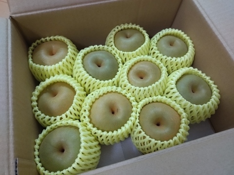 【夏ギフト】安野農園の『恋する甘さ！』幸水梨秀品3キロ4〜10玉［8月下旬〜］