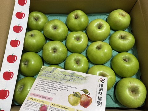 小玉になります「ブラムリー」加工用 　5キロ箱　約20個～23個