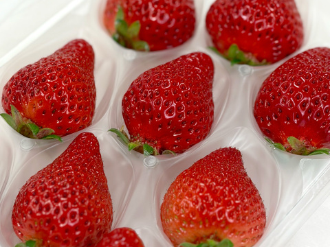 【贈答用】あまおう 400g 甘くて濃い 大粒いちご ゆりかごパック