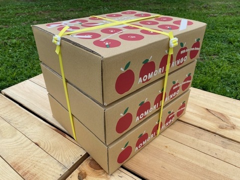 青森県産『ぐんま名月』 家庭用🍏 糖度15度以上！甘～い！　5㎏(12～20玉) ×3箱 【令和8年産早期予約受付中！】 《2025りんごグランプリ 銅賞・カラフル賞(黄) Ｗ受賞!!》