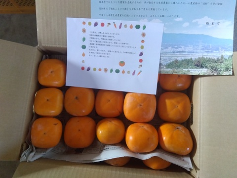 和歌山　たねなし柿　ご家庭用 常温便 和歌山県橋本市産 ご家庭用たねなし柿（約5キロ箱込み