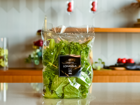 【大容量】LED施設栽培野菜 OHASALA　レタスミックスセット(小分け100g×20個セット)洗わずに食べられて 一年中"旬"の味！