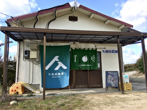 黄玉ぶどう⭐︎至福の甘味と味わい♪おためし1房自宅用