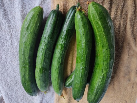 旬のお野菜セット（3～5品）クール便