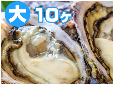 徳島県産 天然 岩牡蠣
【大  １０ヶ入】