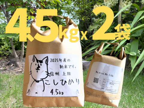 予約‼︎ 25年度産新米!! もっちもち!! 信州上田産コシヒカリ白米4.5kgx2袋.  おむすび　お弁当に!!　25年度産新米!!　令和7年新米 農家直送