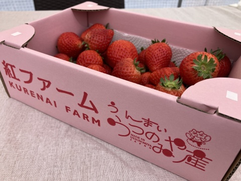 【規格外】たっぷり約2kg⭐︎食べ比べおまかせ2品種