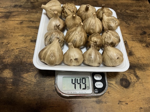 37 自然栽培　黒にんにく 人気　サイズいろいろたっぷり16個　令和4年度新物　食べやすくて美味しい