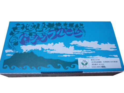 【農薬不使用】東京エコ100認証パッションフルーツ１０～１１玉✖️２箱