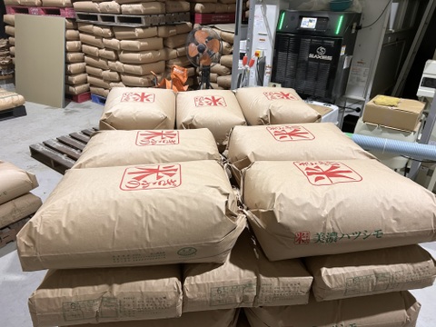 自家生産でこだわりあり！岐阜 ハツシモ　令和7年産  30キロ　玄米🌾