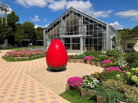 芳醇な香り！贅沢な味わいのドライイチゴ（20g×2パック）