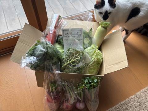 【定期便】旬の野菜セット(冬の鍋野菜・イタリア野菜)箱込み2kg