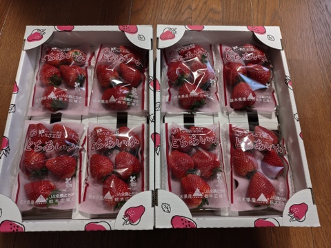 (8P)約2kg【いちご・とちあいか】実がしっかりして酸味が少なく甘さが際立つ新品種★どどーんと(８パックx260g)「とちあいか」栃木県産いちご●嬉しい日のいちご●お届け日指定可