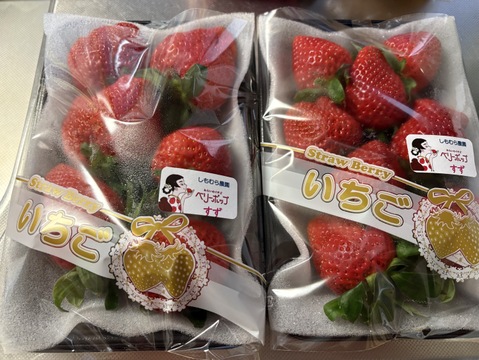 限定大特価セール！！40％OFF！！【今季初出品】甘さ満点！！【ベリーホップすず】☆黒トレー２3０ｇ×２パック入り【佐賀県産】