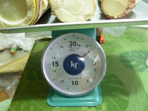 【最短発送】兵庫産朝掘りたけのこ2.6kg