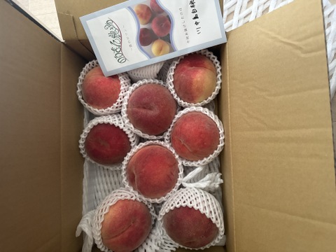 そろそろ終わります！【川中島白桃！！】3kg(約6-11玉）【夏ギフト】