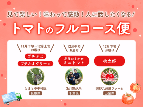 【食べチョク旬の食べ比べ便】プチぷよ/プチぷよグリーン🍅