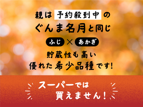 年明け発送🍎【幻の小玉第3弾】スリムレッド シャキッとジューシー 3キロ箱使用 9〜25玉程度　商品ID51599 長野県 信州 安曇野 リンゴ 幻 幻のリンゴ 予約 希少 旬
