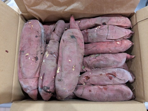 【冷凍】茂賀屋の焼き芋2㎏＋α