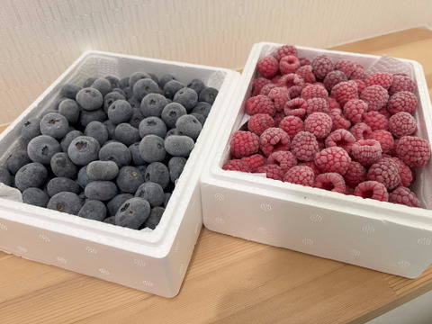 【食べ比べセット】冷凍ブルーベリー＆ラズベリー　900g