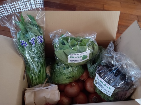 【福袋】玉ねぎ4kg🧅とキヌヒカリ玄米2kgその他葉物野菜など3種類以上の野菜セット