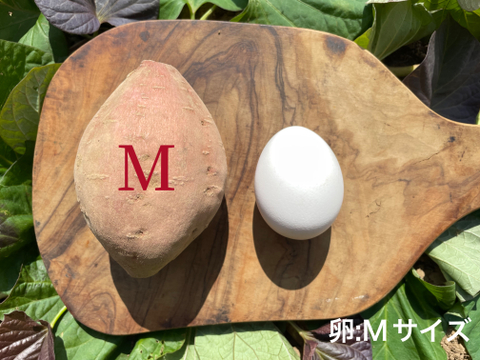 【絶品】aimo農園｜種子島産 安納芋 3S&M 混合24kg(箱別)