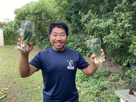 砂川農場セット✨
石垣島産オクラ、島らっきょ、栗カボチャ😊
(オクラ15本入りx3袋、島らっきょ150gx1袋、栗カボチャ1〜2個(約1.3キロ) )の組み合わせ