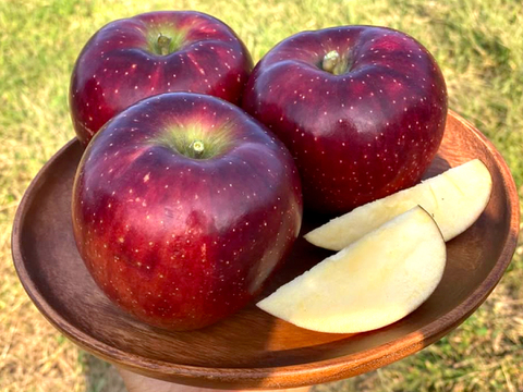 【2026年予約】『秋映』家庭用✨シャキッと食感！味も色も濃い秋のりんご！3kg