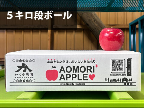 【毎年１万箱以上売れてます】約５キロ 青森県産りんご「樹上完熟葉とらずふじ」通常用厳選品