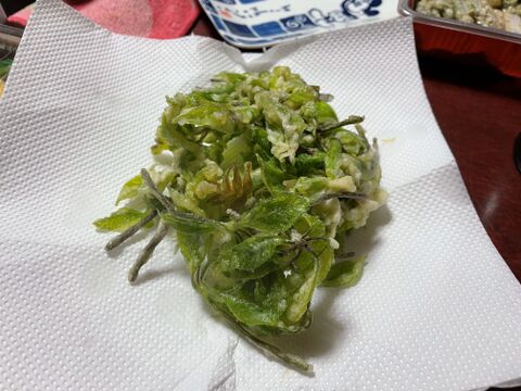 木の芽山菜の女王！コシアブラ２００ｇ