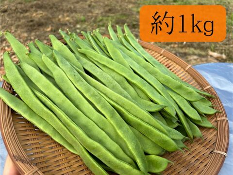 ジャンボインゲン スジ無し 調理簡単 お試しサイズからたっぷりサイズ