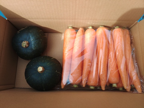【野菜2種セット】　彩誉ニンジン 2.5kg　×　栗政宗かぼちゃ 2個（600g×2）