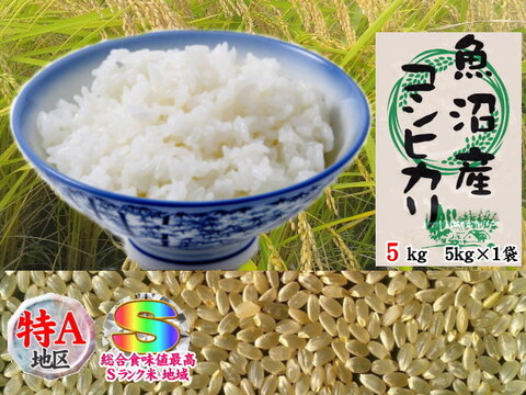 南魚沼産コシヒカリ玄米5kg(5k×1)令和2年産🌾