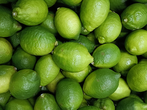 【家庭用】グリーンレモン 3.5kg 皮ごと楽しめる♡ フレッシュ！ 愛媛産！！