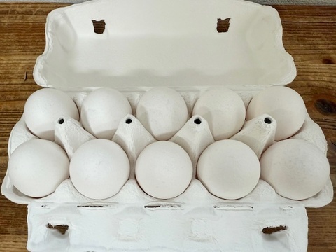 予約受付 大寒たまご 卵 玉子 10個入り 3パック 卵