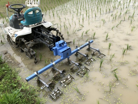 5年産天日干しヒノヒカリ　天草の山間地清流米(白米5キロ)