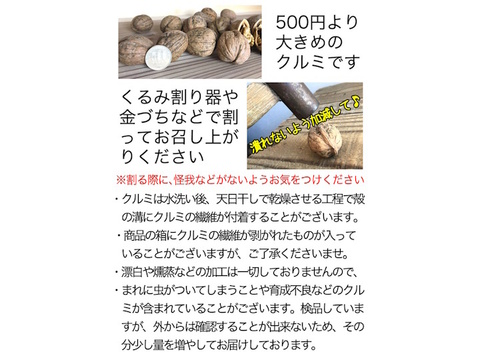長野県産 【くるみ（殻付き）500g】およそ30～40個　無塩、小腹が空いたときお菓子の代わりに食べられる胡桃（クルミ）です！#NLR0G005