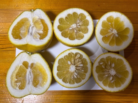河内晩柑　(ご家庭用３kg)