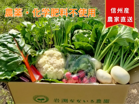 【父の日ギフト】身体が喜ぶ新鮮野菜！！朝採れ旬の野菜セット7種（レギュラー）