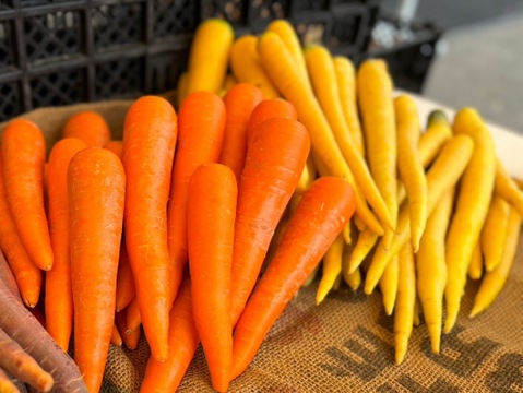【コンソメなしで絶品ポトフに！】ポトフ野菜セット