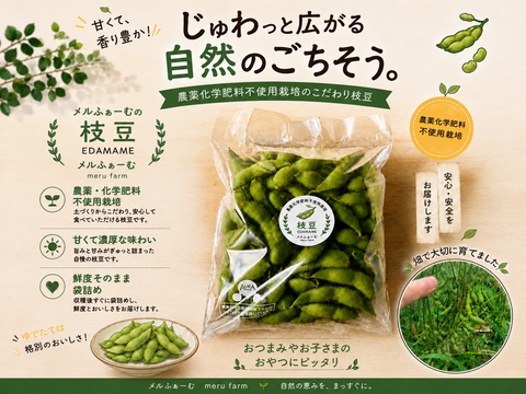 今が食べ頃！【農薬化学肥料不使用】甘みと旨みの絶妙なバランス『つがるの茶豆5号』300g×4p令和8年産！