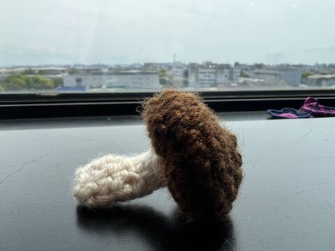 【夏ギフト】特別セット！東京福しいたけギフト用（300g×2パック＋しいたけマスコット・特別包装）