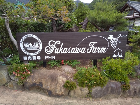 数量限定★9月発送予定（山梨県産 クイーン二－ナ 約1.6～1.8kg）