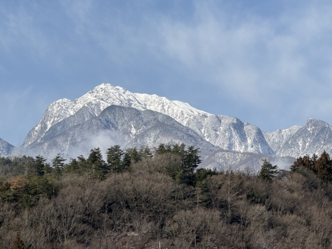 【令和6年新米】名水百選 白州の水で育った美味しい米「こしひかり」5Kg（白米）