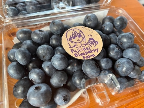 【肥料農薬不使用】2025年収穫！自慢の冷凍ブルーベリー！(1kg)