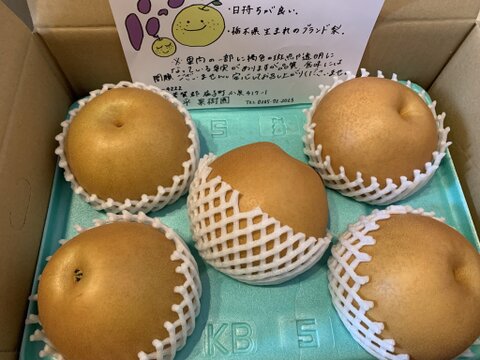 【冬ギフト】糖度11.5度以上　にっこり梨　3㎏