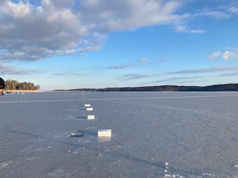 【北海道冬の味覚】干し氷下魚(コマイ)　500ｇ(250ｇ×2個入り)
